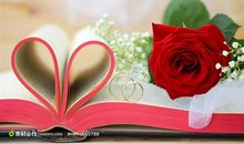 关描写玫瑰的抒情散文