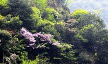 游海滨文化广场