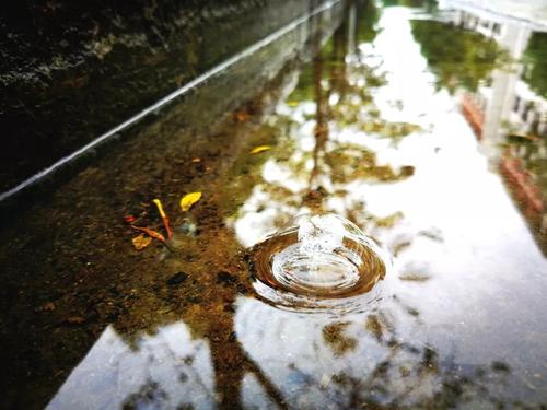 雨中的校园真漂亮