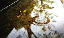 雨中的校园是那样美丽