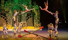 精彩的马戏表演