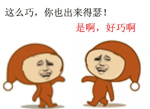 我来了