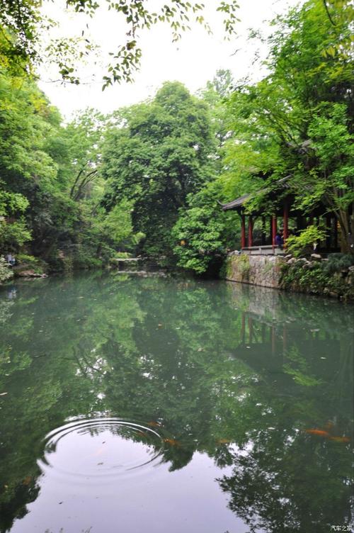 池塘游记