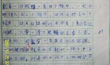 四年级游览顺序作文