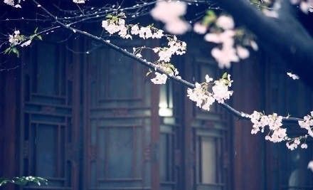 内心的平静