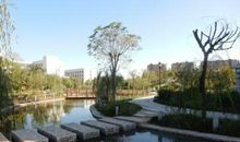 美丽的水景公园