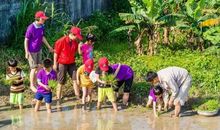 快乐的乡村体验生活