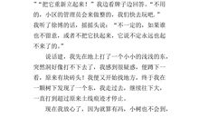 描写灌木的作文