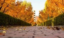 时光，请你走慢些