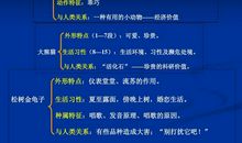 抓住特点介绍动物