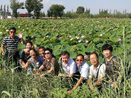 回想过去，看看现在