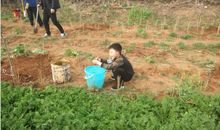 一次难忘的植树活动