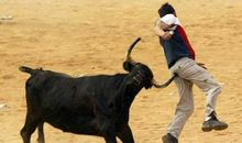 有趣的“斗牛”比赛