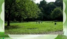 那片青青的草坪