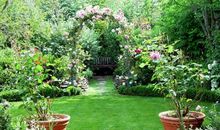 美丽的三角花园