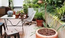 生活需要一个天台