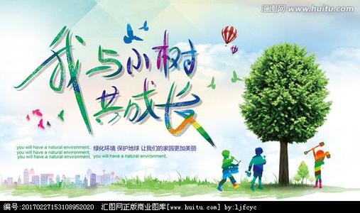 小树的生长