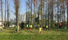 大自然是人类的好老师