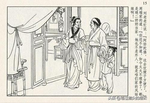 我看《刘奶奶进入大观园》