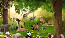 动物王国里的为什么