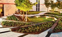 校园的心灵花园