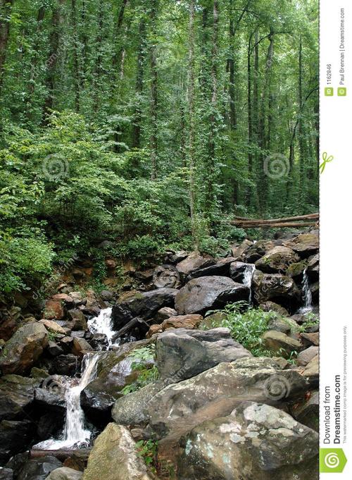 小河黄阁