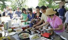 难忘的野餐活动