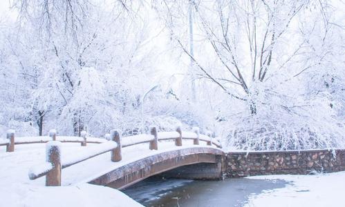 等待降雪