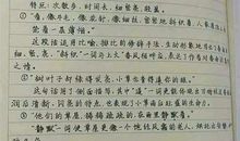 关于写作的作文