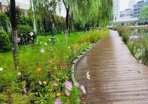 雨后的德和公园