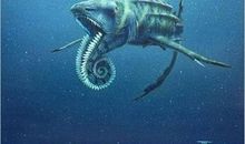 我有一个奇特的家