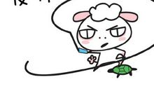 我从没这样气愤过