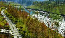 我家乡的清江河