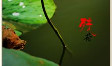 纵使残缺也美丽