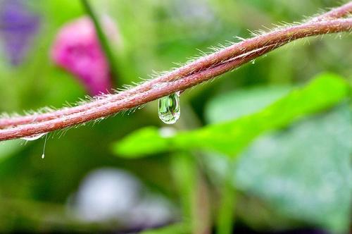 七彩雨_800字