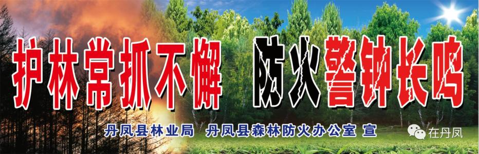 故乡的呼唤