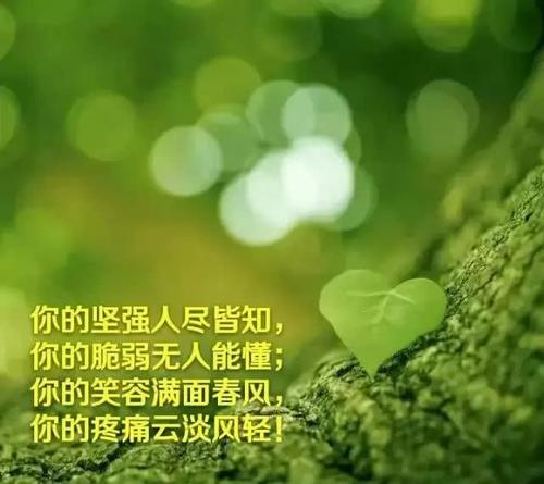 这条路只能自己走