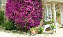 生命因品读而精彩