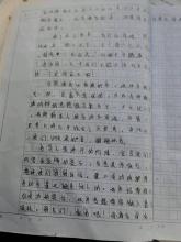 春季郊游的组成