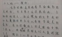 我是这样写作文的