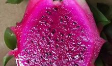 我喜欢的火龙果