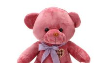 可爱的“小懒虫”