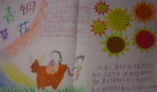 好书推荐青铜葵花