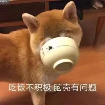 像小桂