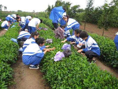 我的学术生活和农业生活