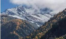 我发现了一种特别的美