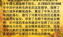 生命我把你追寻