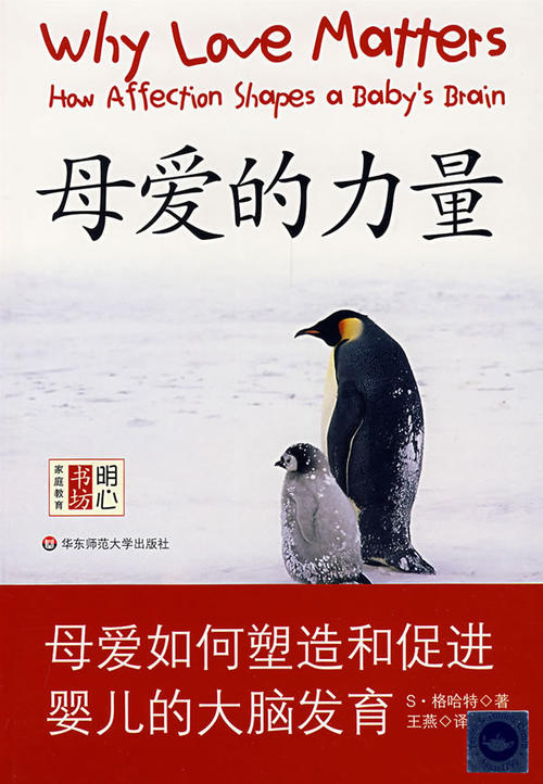 难忘的母爱