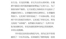 《残狼灰满》读后感