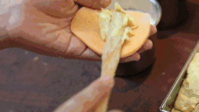 榴莲组成入门400字